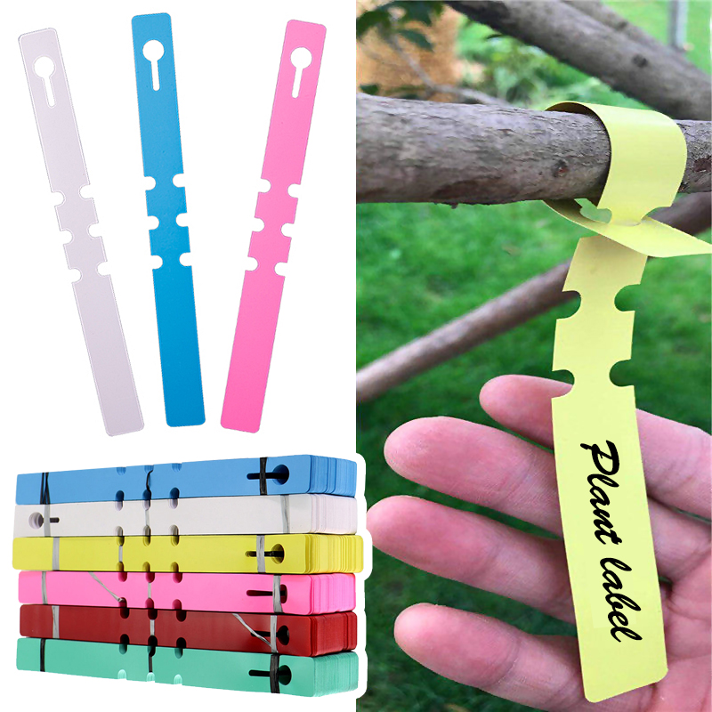 Gardening Tools Labeled - 50pcs Waterproof Plant Markers Plastic Plant