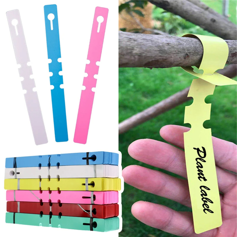Gardening Tools Labeled - 100pcs Waterproof Plant Markers Plastic Plant