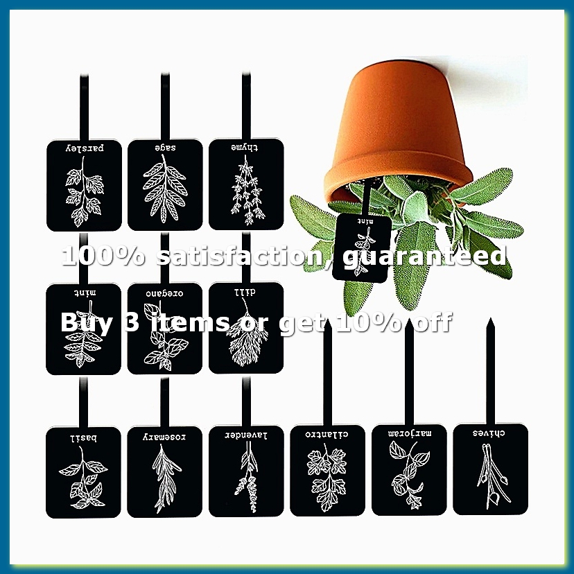 Gardening Tools With Names - 24Pcs Acrylic Plant Label Signs 12