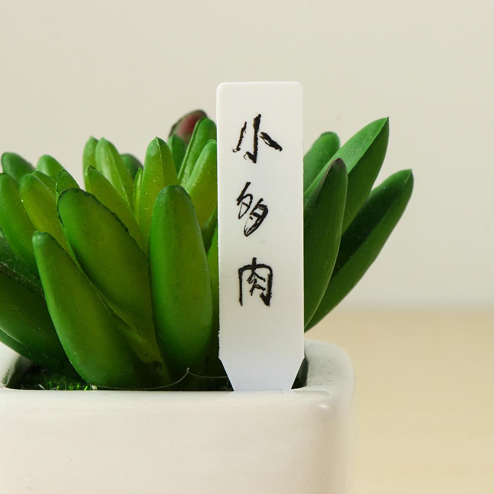 Gardening Tools Labeled - 100Pcs Reusable Seeds Waterproof Classification Marker