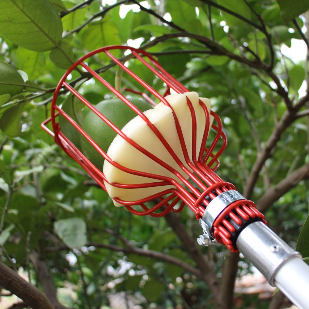 Gardening Tools Hand - Metal/Plastic Fruit Picker Head Without Pole