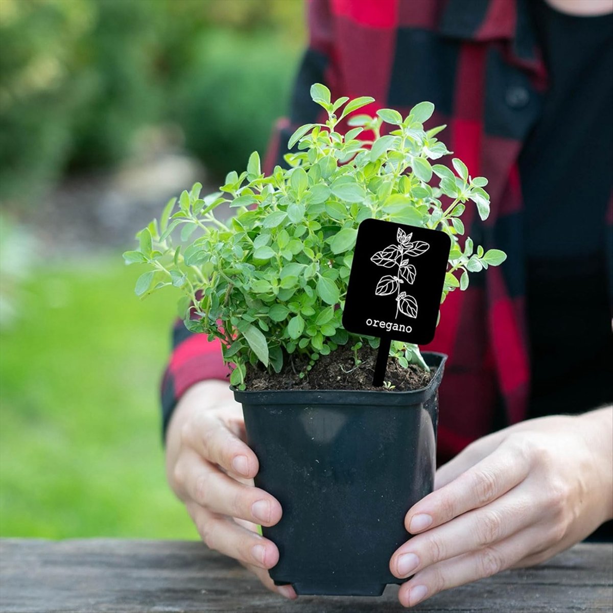 Gardening Tools With Names - AA14 24Pcs Acrylic Plant Label Signs