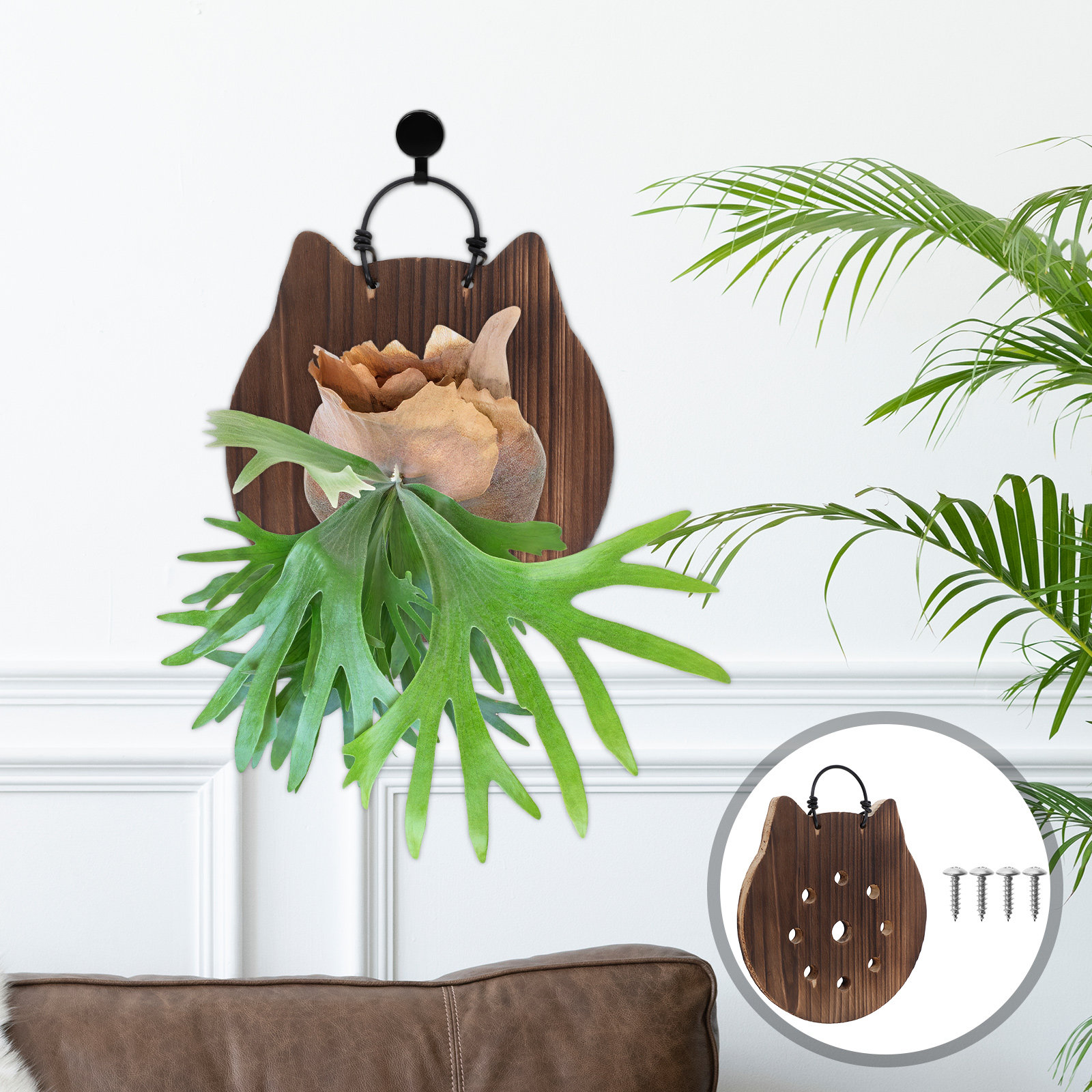 Cat Shape Fern Mounting Board  - đánh giá và giá Vertical Wall Planter