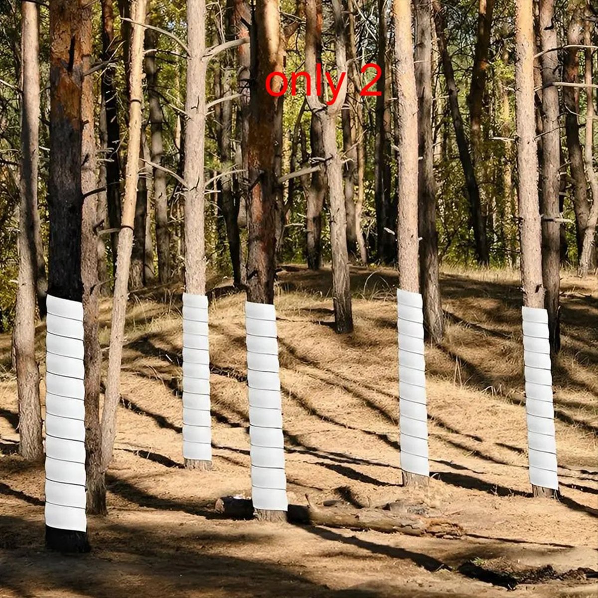 A75K Plant Tree Trunk Protecto - đánh giá và giá Gardening Tools B&M