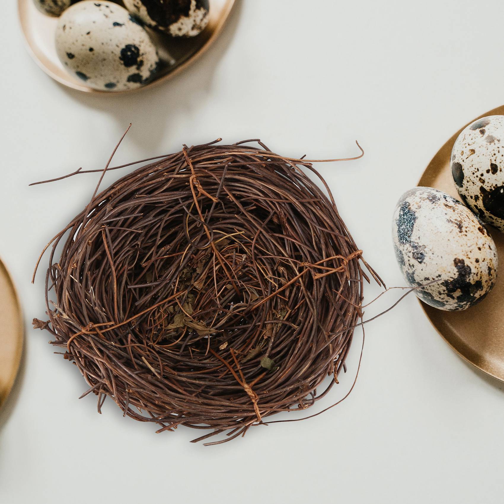 REST Handmade Vine Bird Nest H - đánh giá và giá Gardening Tools Photo