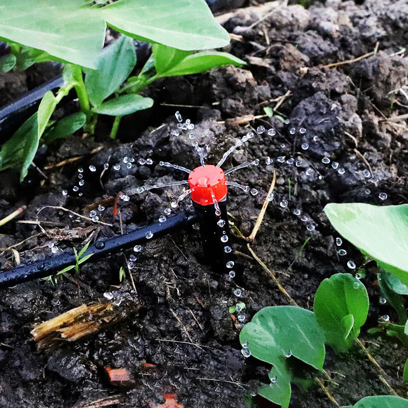 10pcs Adjustable Garden Spike  - đánh giá và giá Root Watering Spike