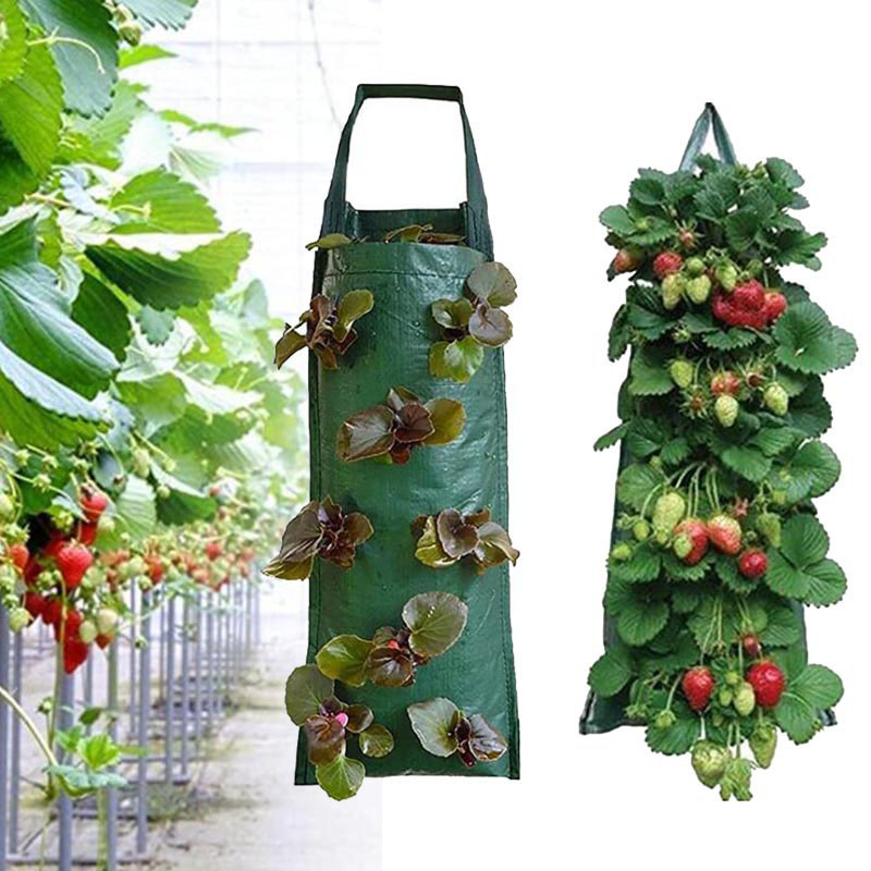 4 8 10 pockets wall hanging ve - đánh giá và giá Vertical Wall Planter