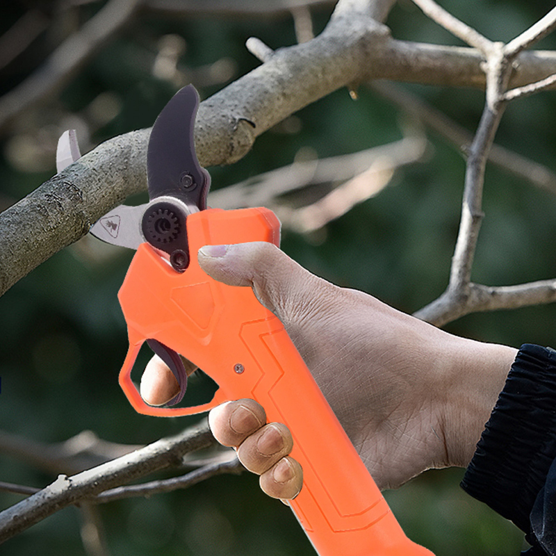 Hot Sale 42V Bodypack Electric - đánh giá và giá Gardening Tools Electric