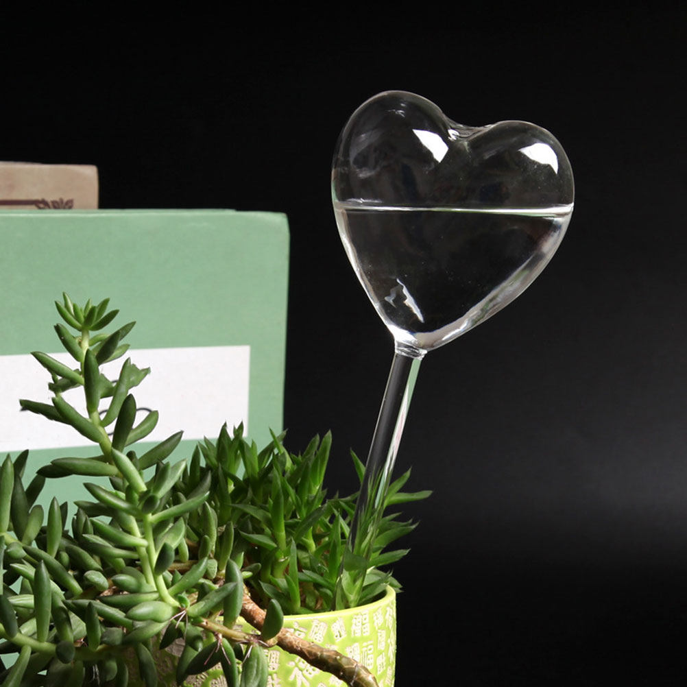 3Pcs Heart Shaped Glass Self W - đánh giá và giá Gardening Tools And Equipment