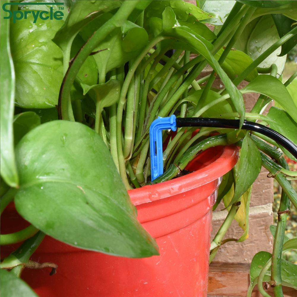SPRYCLE 50X Uốn Cong Mũi Tên D - đánh giá và giá Root Watering Spike