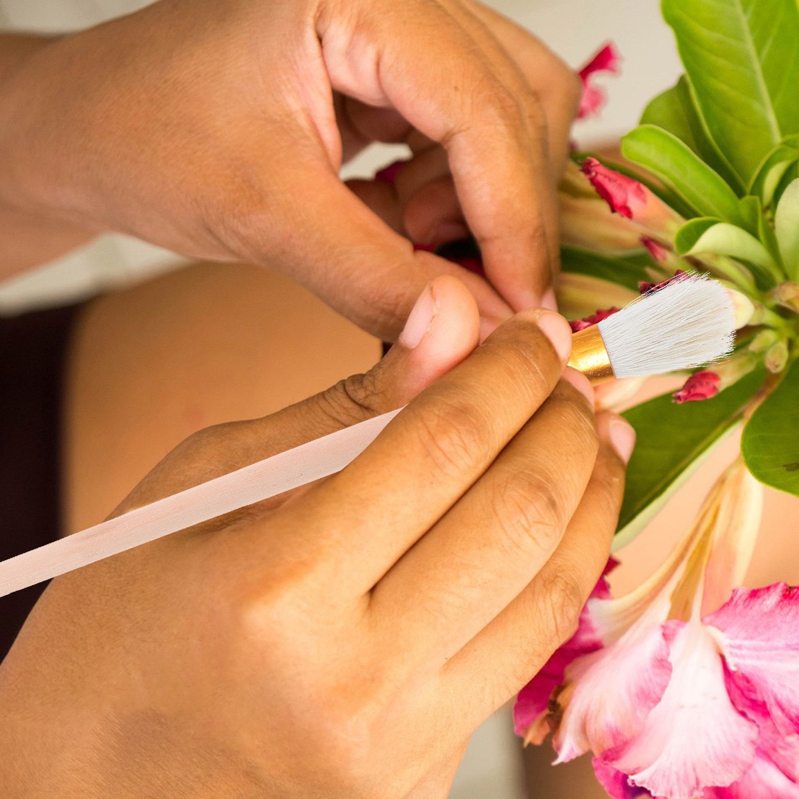 12Pcs Pollination Pen Soft Bri - đánh giá và giá Gardening Tools Hand