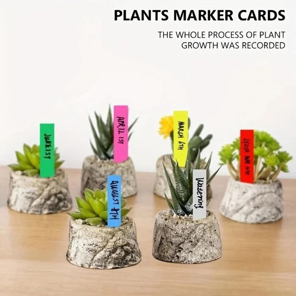 100Pcs Durable Plastic Materia - đánh giá và giá Gardening Tools Labeled