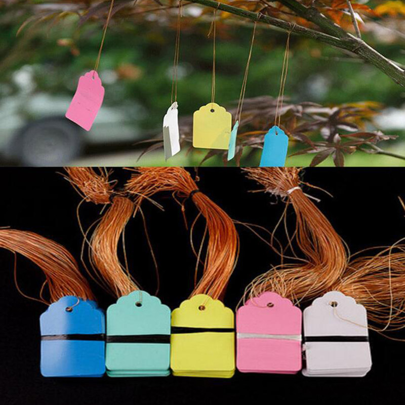 100pcs PVC Plant Tags Labels F - đánh giá và giá Gardening Tools Labeled