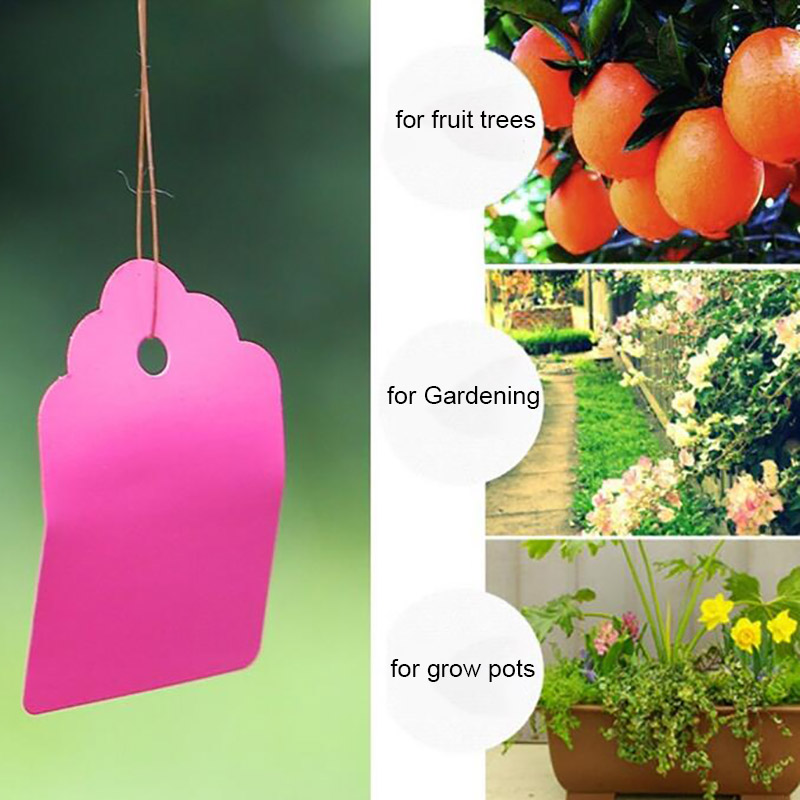 100pcs PVC Plant Tags Labels F - đánh giá và giá Gardening Tools Labeled