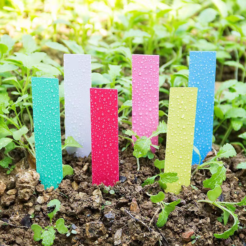 100 Chiếc Vườn Vật Có Nhãn Nhự - đánh giá và giá Gardening Tools Labeled