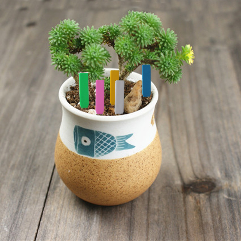 100 Chiếc Vườn Vật Có Nhãn Nhự - đánh giá và giá Gardening Tools Labeled