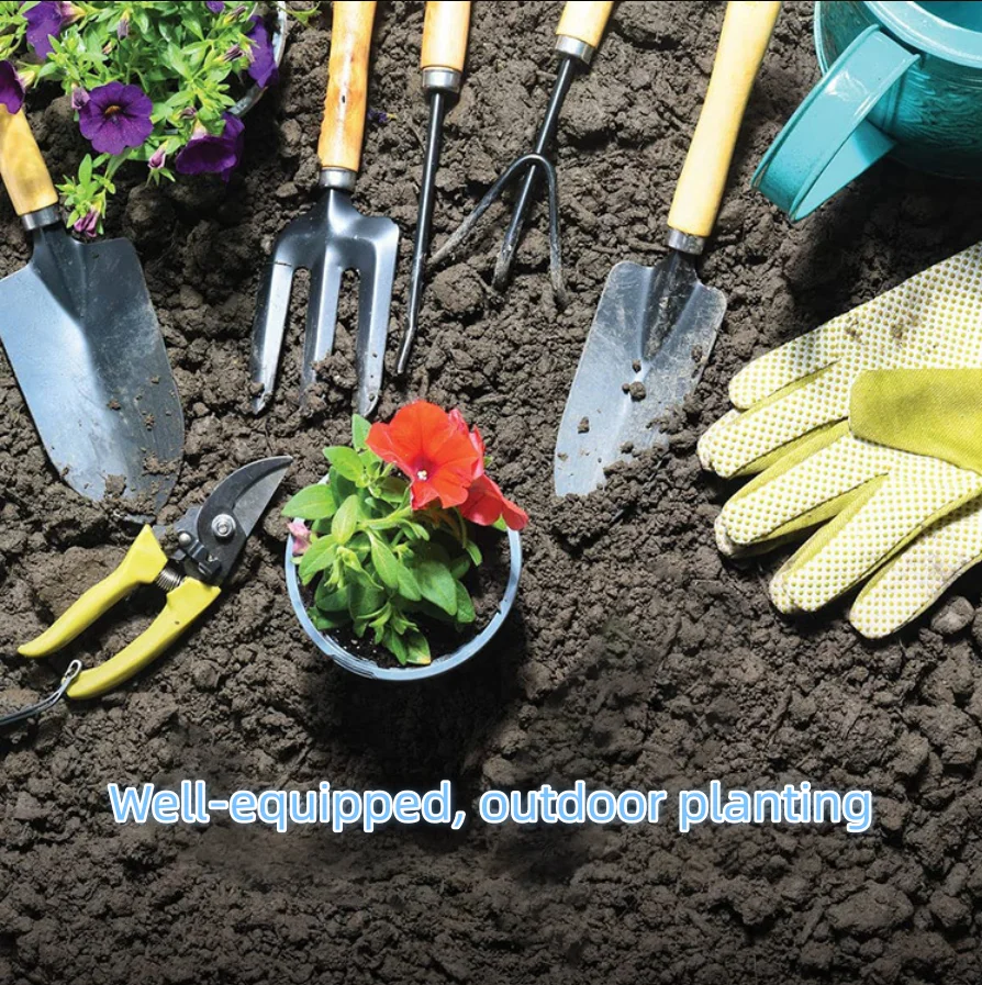 Outdoor garden planting tools  - đánh giá và giá Gardening Tools Gift Set