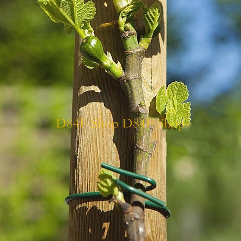 D84F 2.5mmx10m Màu xanh lá cây - đánh giá và giá Garden Wire Twist Tie