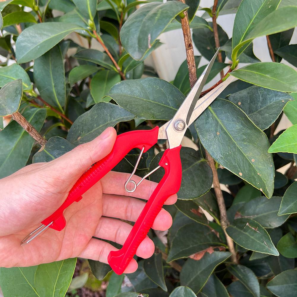 Pro Garden Pruning Shears Leng - đánh giá và giá Gardening Tools Hand