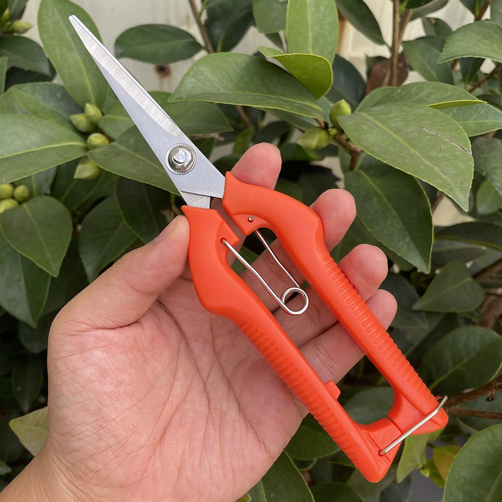 Pro Garden Pruning Shears Leng - đánh giá và giá Gardening Tools Hand