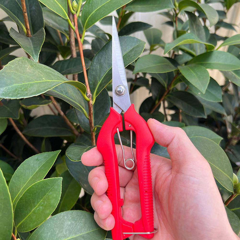 Pro Garden Pruning Shears Leng - đánh giá và giá Gardening Tools Hand