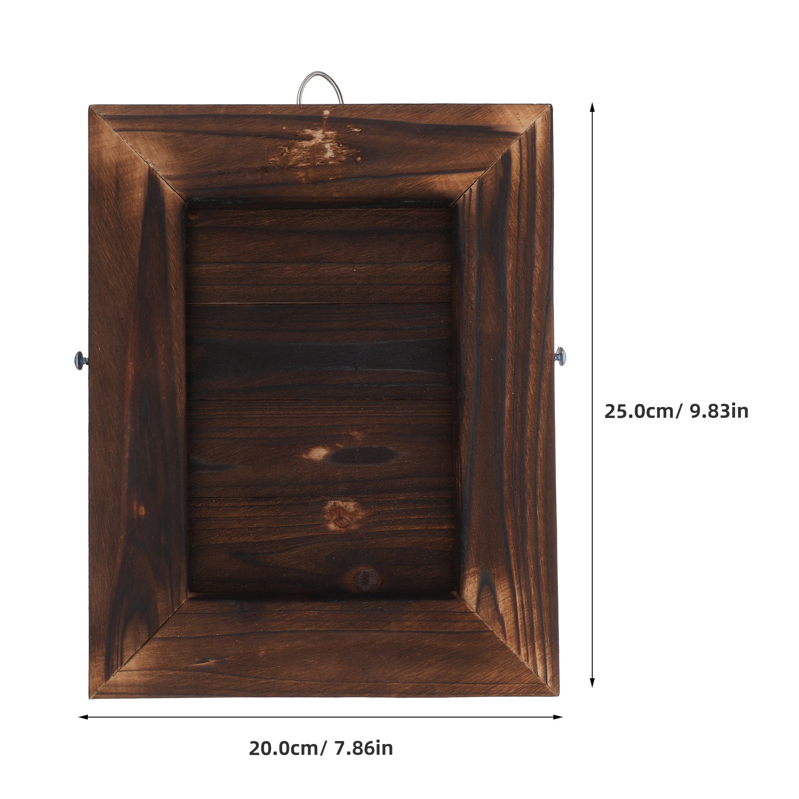 Stag Horn Fern Mount Wall Plan - đánh giá và giá Vertical Wall Planter