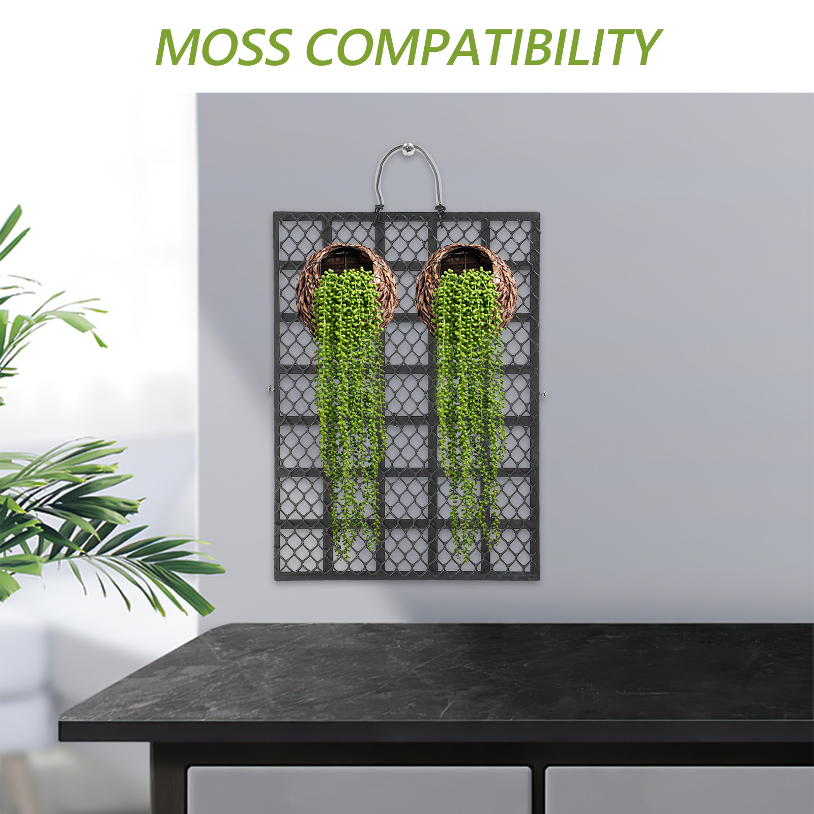 Staghorn Fern Rustic Wall Moun - đánh giá và giá Vertical Wall Planter