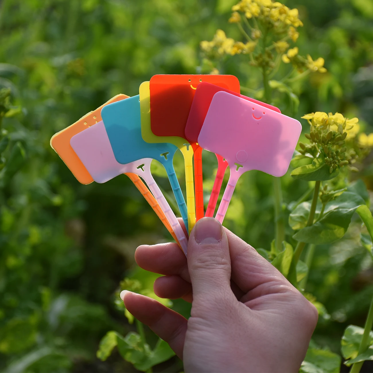 50PCS Waterproof Garden Plant  - đánh giá và giá Gardening Tools Labeled