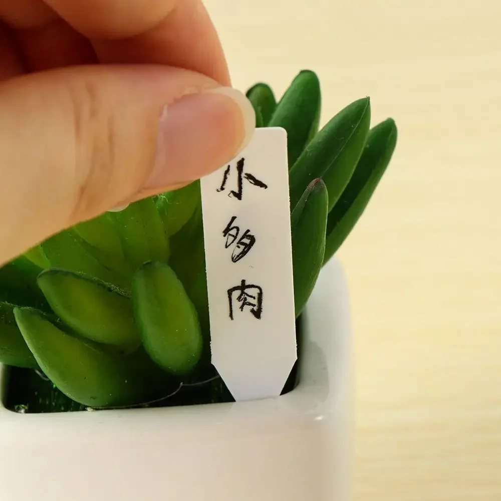 100Pcs Reusable Classification - đánh giá và giá Gardening Tools Labeled
