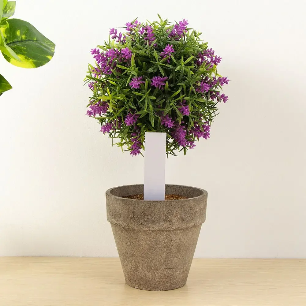 100Pcs Reusable Classification - đánh giá và giá Gardening Tools Labeled