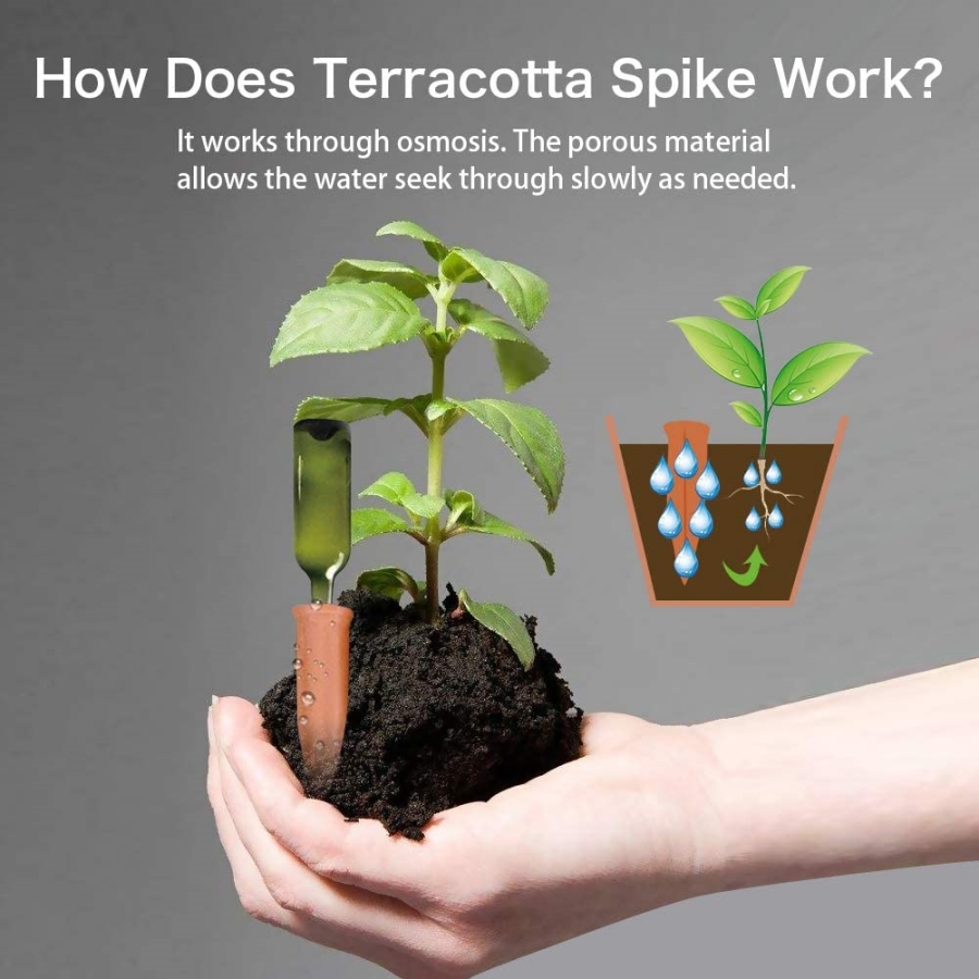 8 PCS Self Watering Terracotta - đánh giá và giá Root Watering Spike