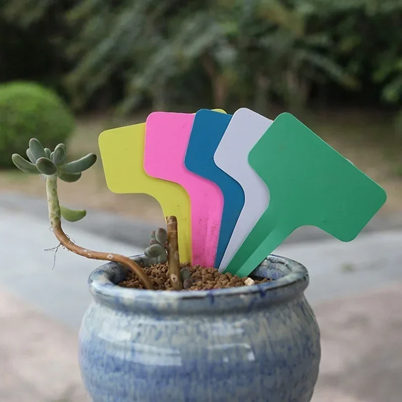 20 Pcs Plastic Waterproof Plan - đánh giá và giá Gardening Tools With Names