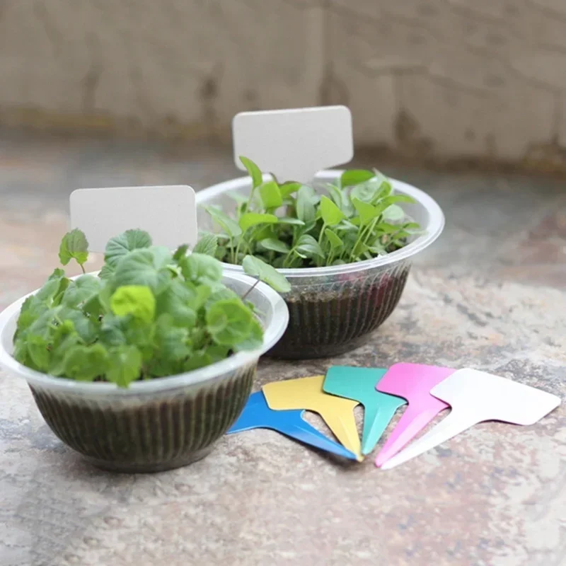 20 Pcs Plastic Waterproof Plan - đánh giá và giá Gardening Tools With Names