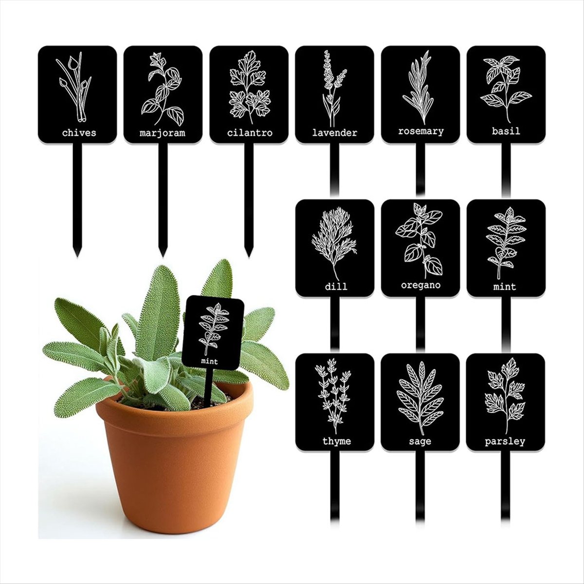 AA14 24Pcs Acrylic Plant Label - đánh giá và giá Gardening Tools With Names