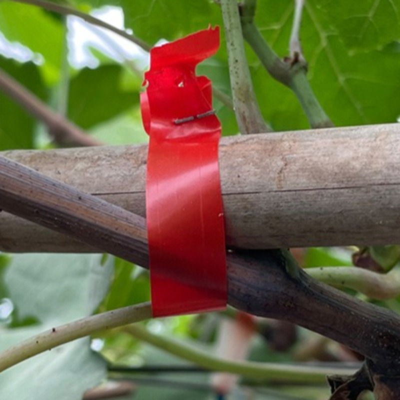 Grape Branch Binding Machine S - đánh giá và giá Gardening Tools Hand